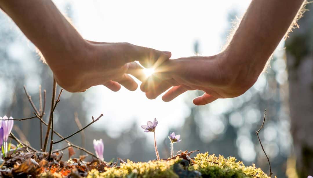 AdobeStock_81717411